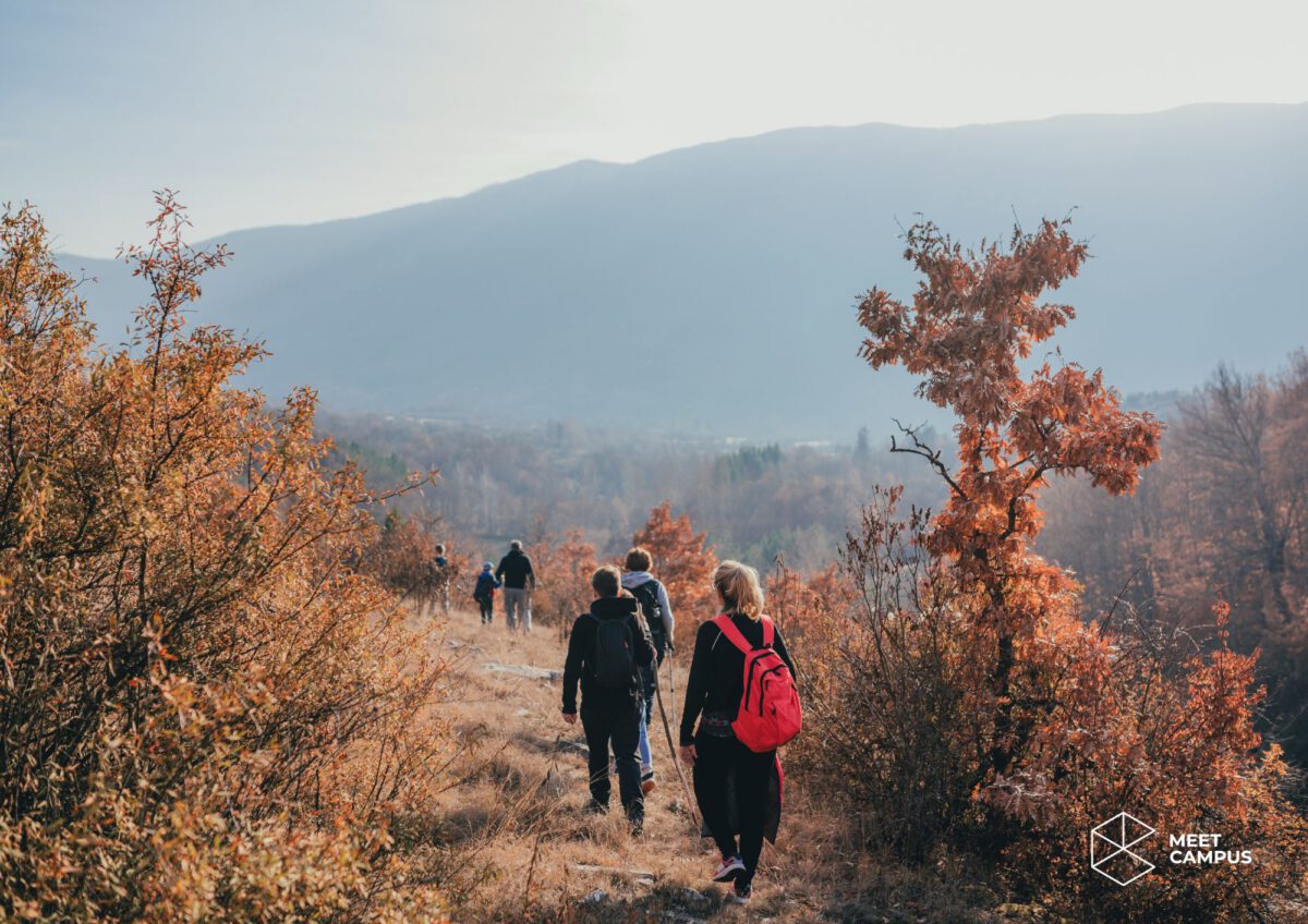 Menschen wandern auf Naturpfad Menschen wandern auf Naturpfad