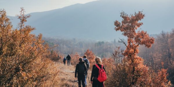 Menschen wandern auf Naturpfad