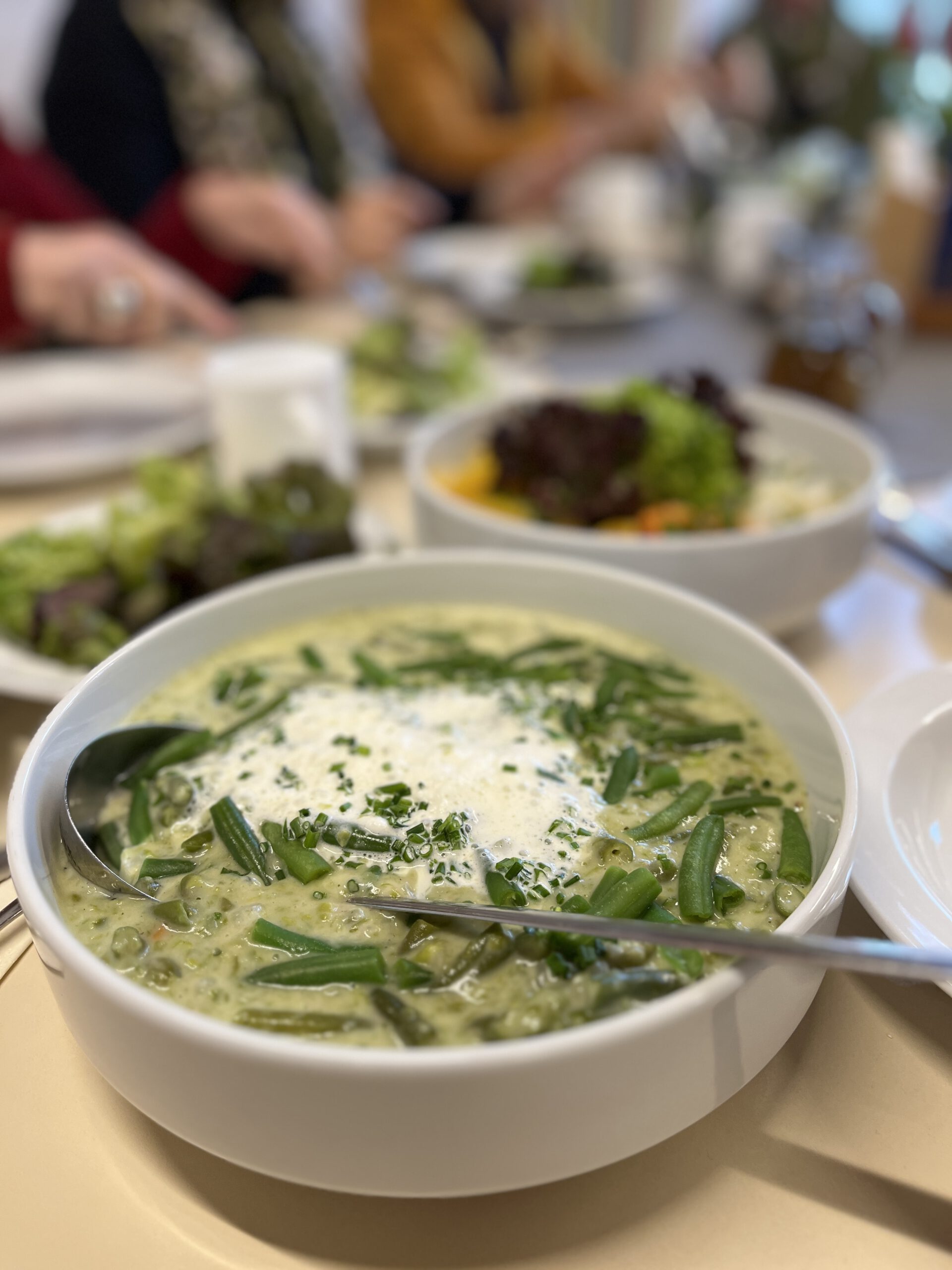 Schüssel mit cremiger grüner Suppe aus Bohnen und Kräutern, serviert beim Genussfasten nach Hildegard von Bingen am Bodensee, gemeinsam mit frischem Salat.